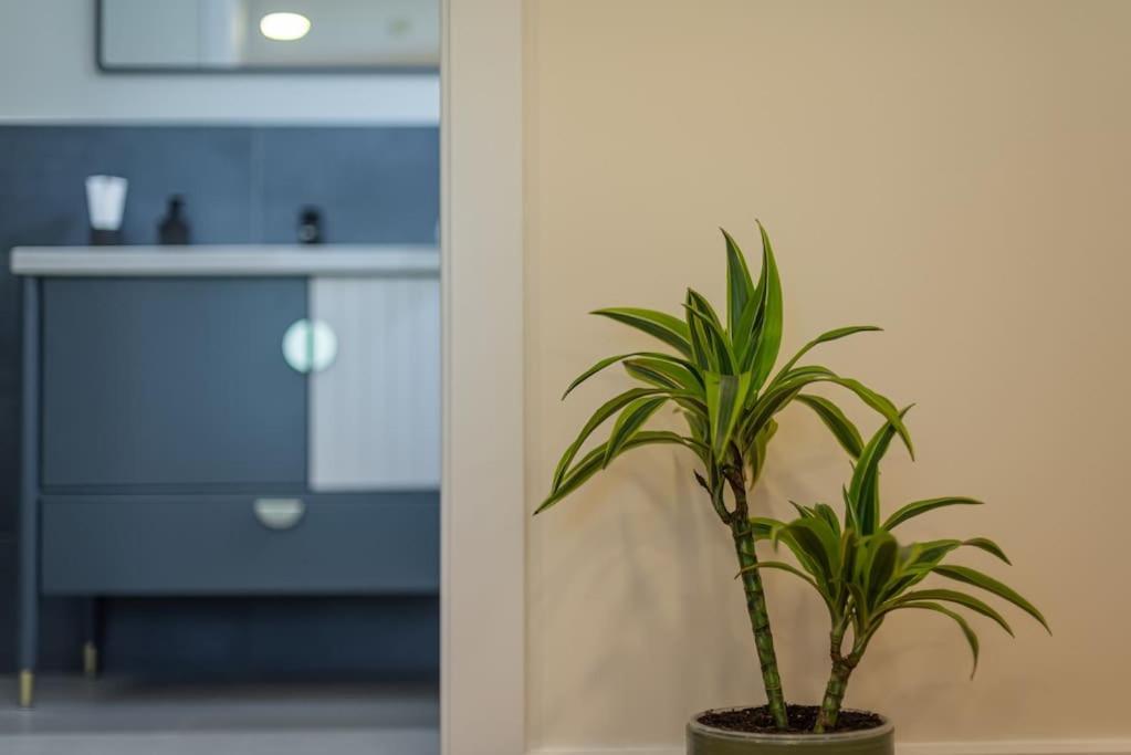 Fabrica Apartments 11 Cluj-Napoca Ngoại thất bức ảnh